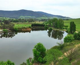 Schmidts Strawberry Winery - Hotel NSW 2