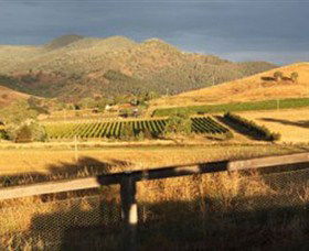 Optimiste Wines - Hotel NSW 0
