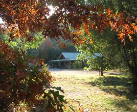 Little River Wines Of Taggerty - Hotel NSW 4
