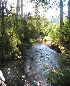 Little River Wines Of Taggerty - Hotel NSW 5