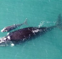 Fazshot Photography - Hotel NSW