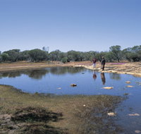 Camel Soak - Hotel NSW