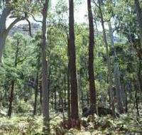 Cathedral Range State Park - Hotel NSW