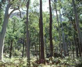 Cathedral Range State Park - Hotel NSW 0