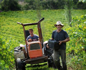 Kellybrook Winery, Kelly Brothers Cider & Riders Brew Co. - Hotel NSW 0
