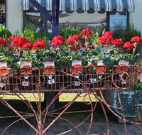 Van Loon's Nursery - Hotel NSW