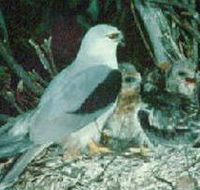 Bushy Park Wetlands - Hotel NSW