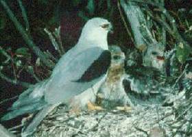 Bushy Park Wetlands - Hotel NSW 0
