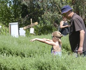 Hedgend Maze And Healesville Laser Sport - Hotel NSW 2