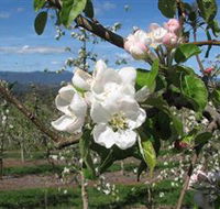 Mouat's Farm - Hotel NSW
