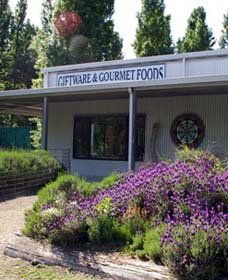 Crisp Galleries - Hotel NSW 0