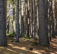 Sugarpine Walk - Hotel NSW