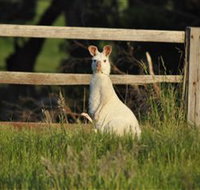 Panorama Garden Estate - Hotel NSW