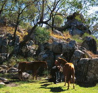 Coomba Falls - Hotel NSW