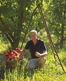 Mock Red Hill - Hotel NSW 1