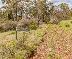 Old Mountain Road Walking Track - Hotel NSW 0