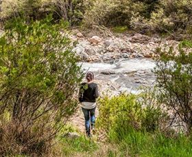 Old Mountain Road Walking Track - Hotel NSW 1