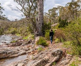 Old Mountain Road Walking Track - Hotel NSW 2
