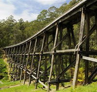Noojee Trestle Bridge - Hotel NSW
