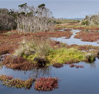 French Island National Park - Hotel NSW
