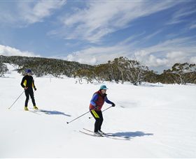 Mt Baw Baw Alpine Resort - Hotel NSW 2