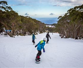 Mt Baw Baw Alpine Resort - Hotel NSW 0