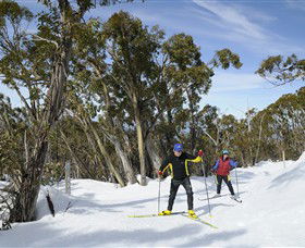 Mt Baw Baw Alpine Resort - Hotel NSW 4