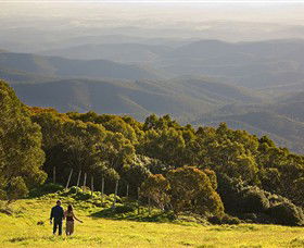 Mt Baw Baw Alpine Resort - Hotel NSW 6