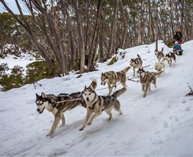Mt Baw Baw Alpine Resort - Hotel NSW 5