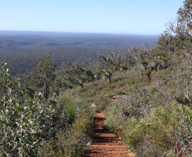 Mount Dale Walk Trail - Hotel NSW 0