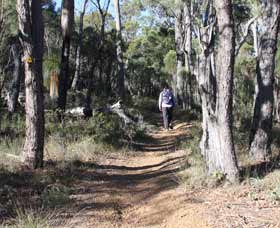Mount Dale Walk Trail - Hotel NSW 2