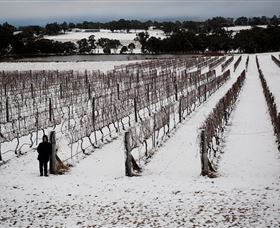 Savina Lane Premum Wines - Hotel NSW 2