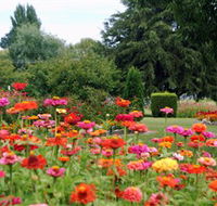 Alma Park - Hotel NSW