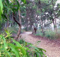 Mount Mutton Walking Trail - Hotel NSW