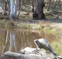 Mulligans Flat - Hotel NSW