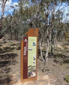 Mulligans Flat - Hotel NSW 1