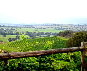 Hollydene Estate Wines And Vines Restaurant - Hotel NSW 2