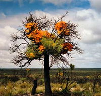 The Delmar Gallery - Hotel NSW