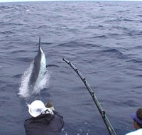 Amokura Charters - Hotel NSW