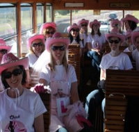 Newcastles Famous Tram - Hotel NSW