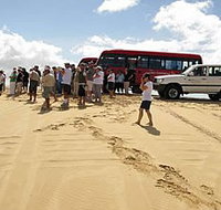 Port Stephens 4WD Tours
