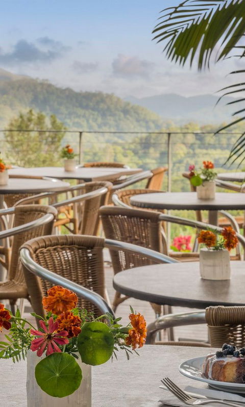 Crystal Castle & Shambhala Gardens - Hotel NSW 2
