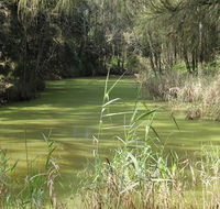 Second Ponds Creek walk - Hotel NSW