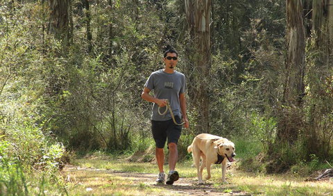 Second Ponds Creek Walk - Hotel NSW 3