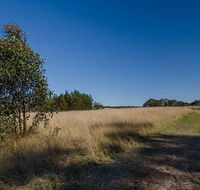 Scheyville horse riding trails - Hotel NSW