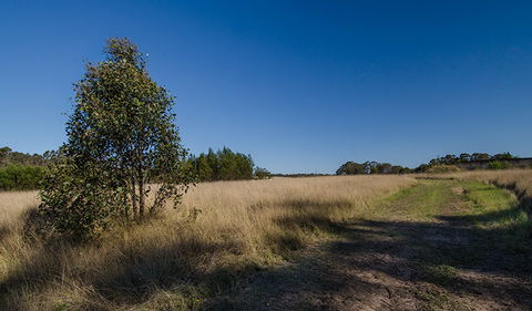 Scheyville Horse Riding Trails - Hotel NSW 0
