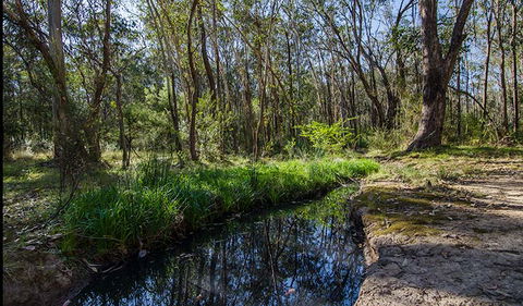 Scheyville Horse Riding Trails - Hotel NSW 2