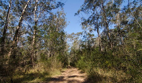 Scheyville Horse Riding Trails - Hotel NSW 3
