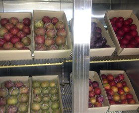 Canoelands Orchard - Hotel NSW 1