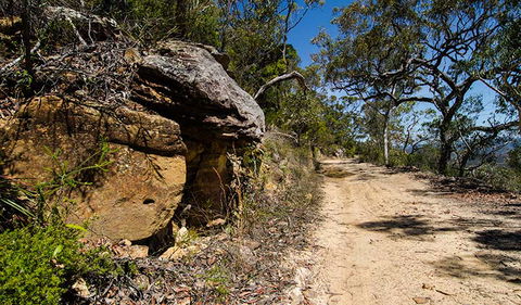 Canoelands Ridge Walking Track - Hotel NSW 0